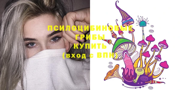 твердый Рославль
