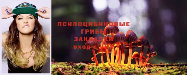 герыч Россошь