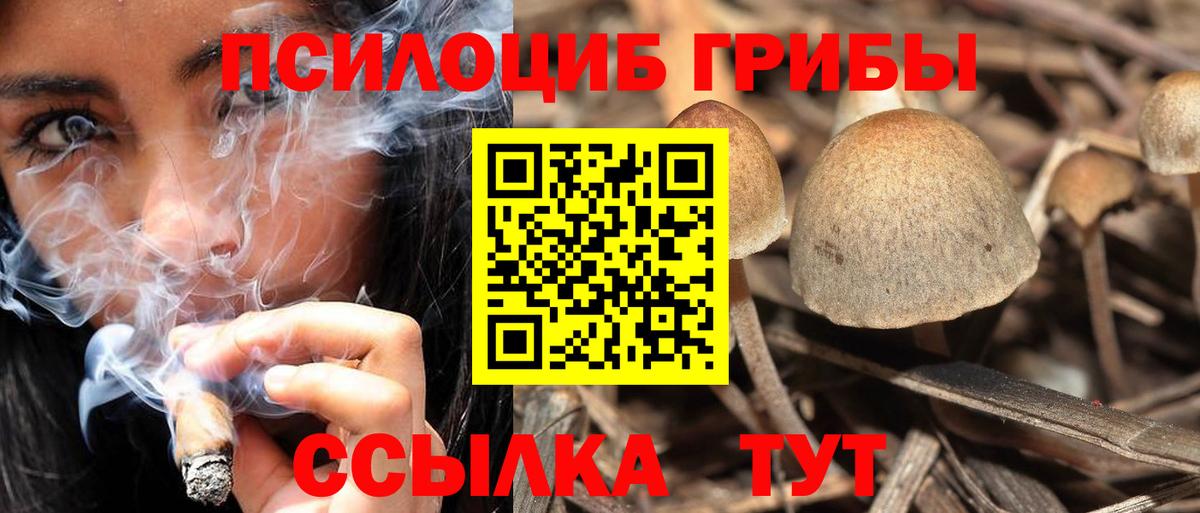 Псилоцибиновые грибы мухоморы Костомукша